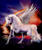 pegaso138's Avatar